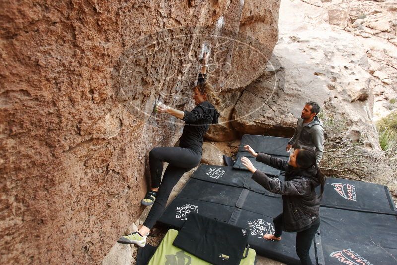 Bouldering in Hueco Tanks on 03/10/2019 with Blue Lizard Climbing and Yoga

Filename: SRM_20190310_1459510.jpg
Aperture: f/5.6
Shutter Speed: 1/200
Body: Canon EOS-1D Mark II
Lens: Canon EF 16-35mm f/2.8 L