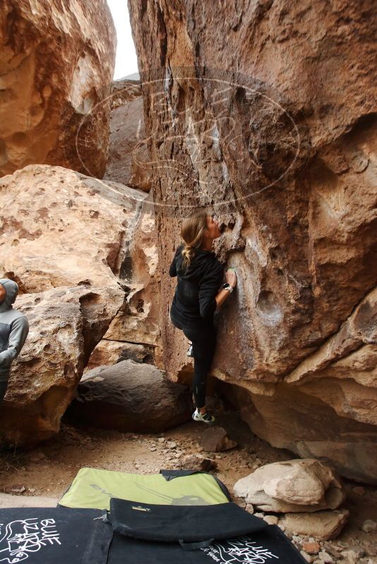 Bouldering in Hueco Tanks on 03/10/2019 with Blue Lizard Climbing and Yoga

Filename: SRM_20190310_1511570.jpg
Aperture: f/5.6
Shutter Speed: 1/160
Body: Canon EOS-1D Mark II
Lens: Canon EF 16-35mm f/2.8 L