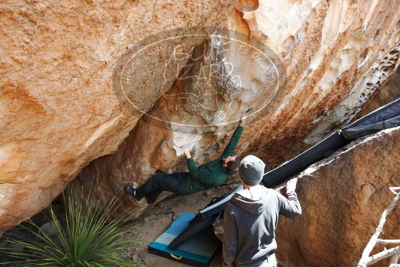 Bouldering in Hueco Tanks on 03/15/2019 with Blue Lizard Climbing and Yoga

Filename: SRM_20190315_1347200.jpg
Aperture: f/5.6
Shutter Speed: 1/250
Body: Canon EOS-1D Mark II
Lens: Canon EF 16-35mm f/2.8 L