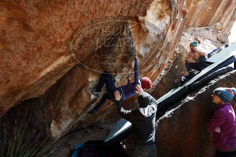 Bouldering in Hueco Tanks on 03/15/2019 with Blue Lizard Climbing and Yoga

Filename: SRM_20190315_1403450.jpg
Aperture: f/5.6
Shutter Speed: 1/500
Body: Canon EOS-1D Mark II
Lens: Canon EF 16-35mm f/2.8 L