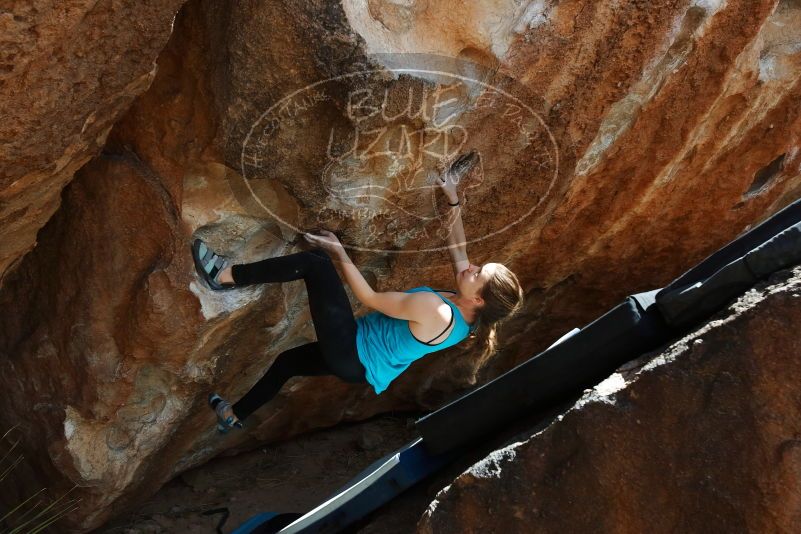 Bouldering in Hueco Tanks on 03/15/2019 with Blue Lizard Climbing and Yoga

Filename: SRM_20190315_1413410.jpg
Aperture: f/5.6
Shutter Speed: 1/320
Body: Canon EOS-1D Mark II
Lens: Canon EF 16-35mm f/2.8 L