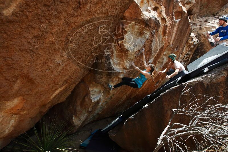 Bouldering in Hueco Tanks on 03/15/2019 with Blue Lizard Climbing and Yoga

Filename: SRM_20190315_1413520.jpg
Aperture: f/5.6
Shutter Speed: 1/400
Body: Canon EOS-1D Mark II
Lens: Canon EF 16-35mm f/2.8 L