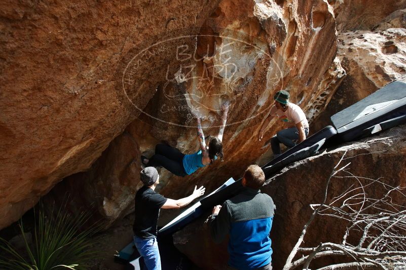 Bouldering in Hueco Tanks on 03/15/2019 with Blue Lizard Climbing and Yoga

Filename: SRM_20190315_1419220.jpg
Aperture: f/5.6
Shutter Speed: 1/500
Body: Canon EOS-1D Mark II
Lens: Canon EF 16-35mm f/2.8 L