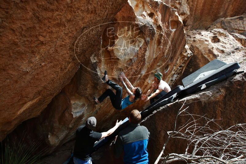 Bouldering in Hueco Tanks on 03/15/2019 with Blue Lizard Climbing and Yoga

Filename: SRM_20190315_1419290.jpg
Aperture: f/5.6
Shutter Speed: 1/500
Body: Canon EOS-1D Mark II
Lens: Canon EF 16-35mm f/2.8 L