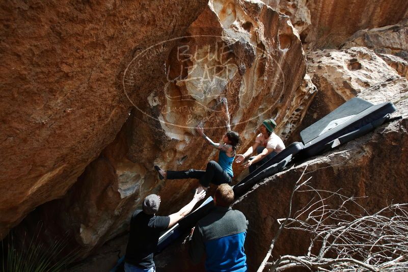 Bouldering in Hueco Tanks on 03/15/2019 with Blue Lizard Climbing and Yoga

Filename: SRM_20190315_1419310.jpg
Aperture: f/5.6
Shutter Speed: 1/500
Body: Canon EOS-1D Mark II
Lens: Canon EF 16-35mm f/2.8 L