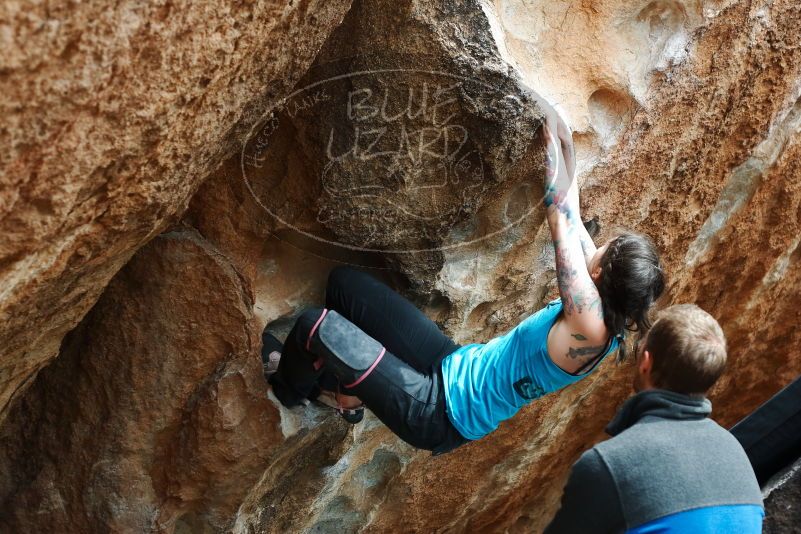 Bouldering in Hueco Tanks on 03/15/2019 with Blue Lizard Climbing and Yoga

Filename: SRM_20190315_1442360.jpg
Aperture: f/4.0
Shutter Speed: 1/400
Body: Canon EOS-1D Mark II
Lens: Canon EF 50mm f/1.8 II