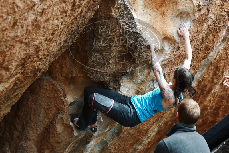 Bouldering in Hueco Tanks on 03/15/2019 with Blue Lizard Climbing and Yoga

Filename: SRM_20190315_1442370.jpg
Aperture: f/4.0
Shutter Speed: 1/320
Body: Canon EOS-1D Mark II
Lens: Canon EF 50mm f/1.8 II