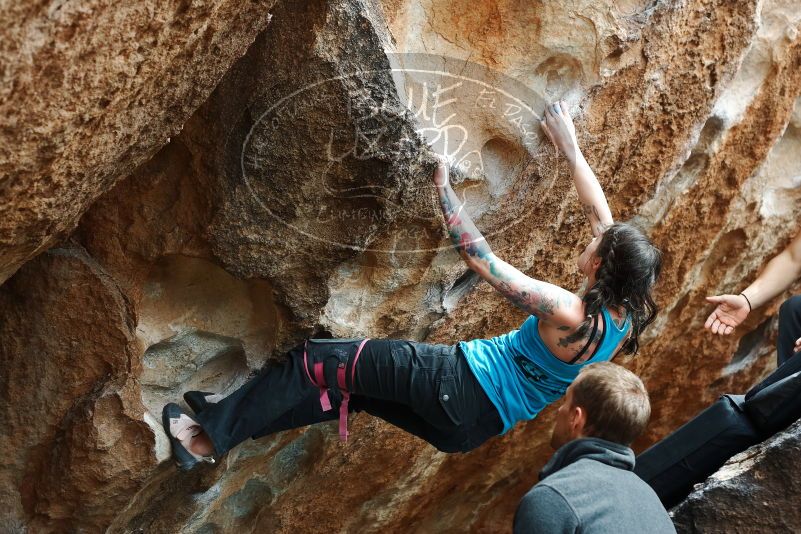 Bouldering in Hueco Tanks on 03/15/2019 with Blue Lizard Climbing and Yoga

Filename: SRM_20190315_1444270.jpg
Aperture: f/4.0
Shutter Speed: 1/400
Body: Canon EOS-1D Mark II
Lens: Canon EF 50mm f/1.8 II