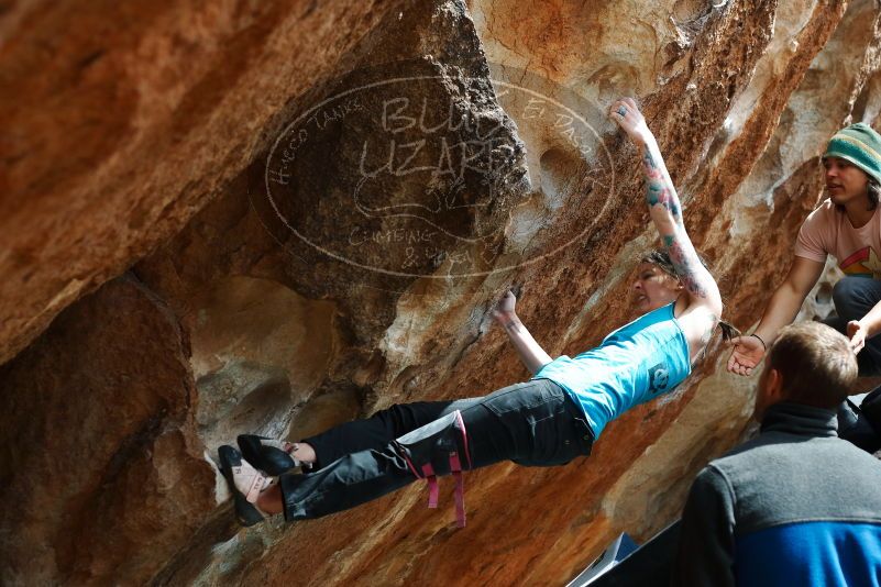 Bouldering in Hueco Tanks on 03/15/2019 with Blue Lizard Climbing and Yoga

Filename: SRM_20190315_1458240.jpg
Aperture: f/4.0
Shutter Speed: 1/800
Body: Canon EOS-1D Mark II
Lens: Canon EF 50mm f/1.8 II