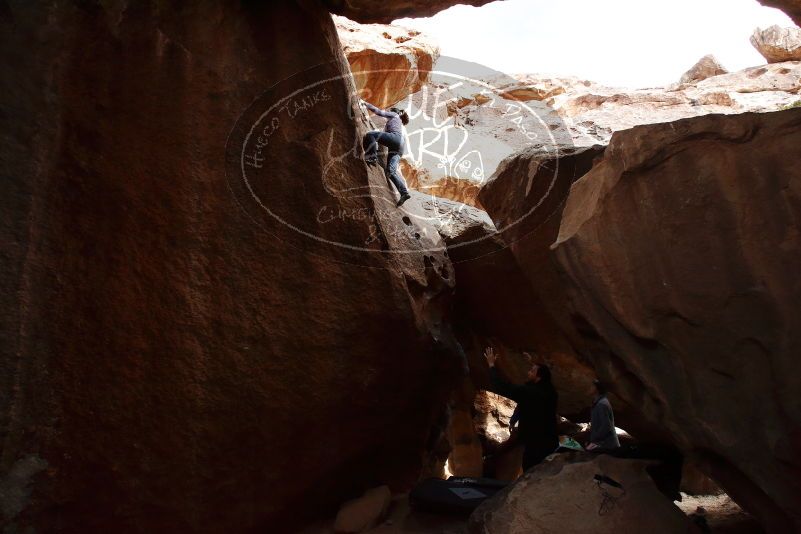 Bouldering in Hueco Tanks on 03/15/2019 with Blue Lizard Climbing and Yoga

Filename: SRM_20190315_1604250.jpg
Aperture: f/9.0
Shutter Speed: 1/250
Body: Canon EOS-1D Mark II
Lens: Canon EF 16-35mm f/2.8 L