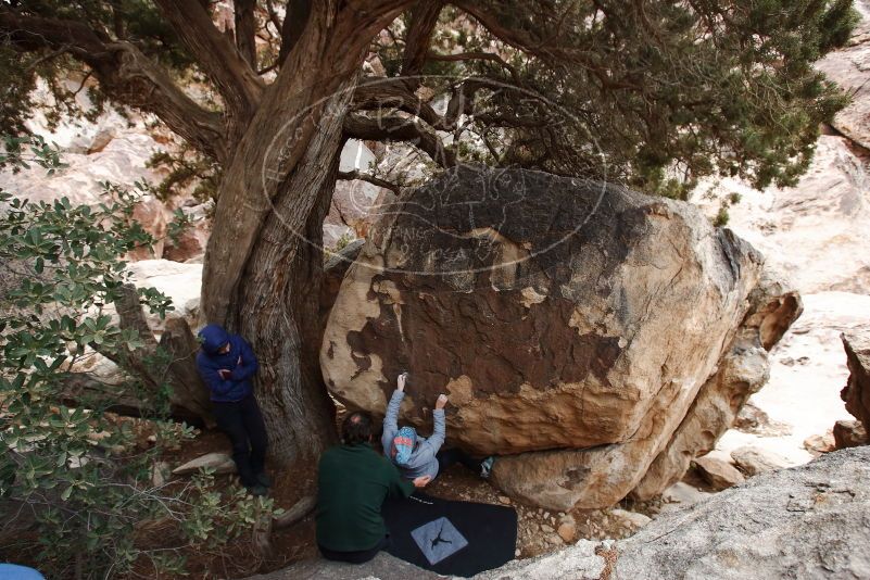 Bouldering in Hueco Tanks on 03/15/2019 with Blue Lizard Climbing and Yoga

Filename: SRM_20190315_1617060.jpg
Aperture: f/5.6
Shutter Speed: 1/250
Body: Canon EOS-1D Mark II
Lens: Canon EF 16-35mm f/2.8 L