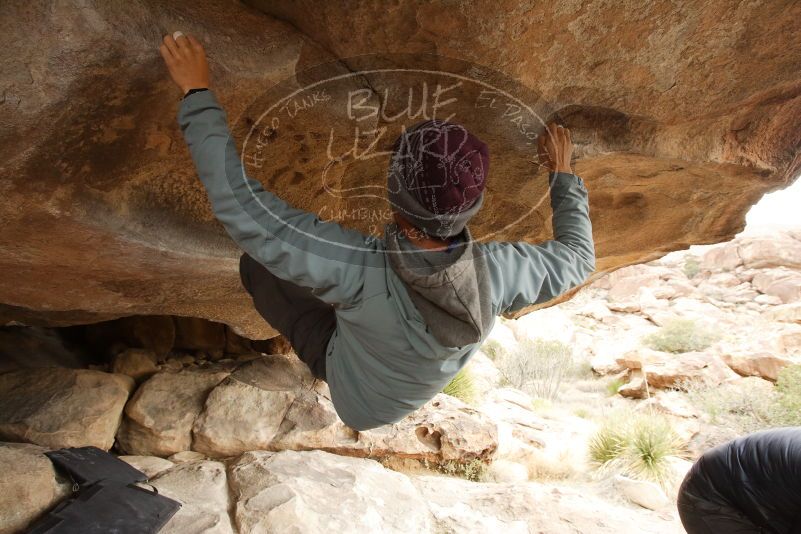 Bouldering in Hueco Tanks on 03/16/2019 with Blue Lizard Climbing and Yoga

Filename: SRM_20190316_1221400.jpg
Aperture: f/6.3
Shutter Speed: 1/160
Body: Canon EOS-1D Mark II
Lens: Canon EF 16-35mm f/2.8 L