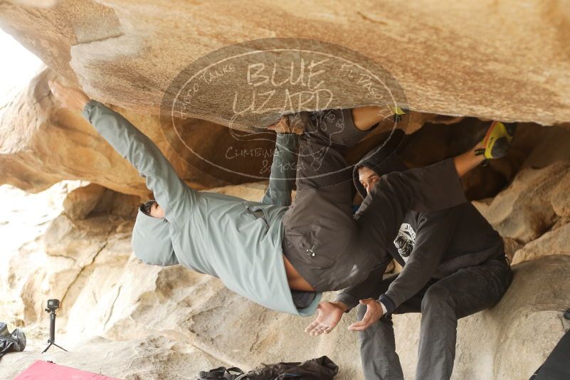 Bouldering in Hueco Tanks on 03/16/2019 with Blue Lizard Climbing and Yoga

Filename: SRM_20190316_1251550.jpg
Aperture: f/2.8
Shutter Speed: 1/200
Body: Canon EOS-1D Mark II
Lens: Canon EF 50mm f/1.8 II