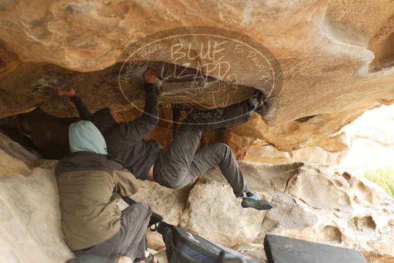 Bouldering in Hueco Tanks on 03/16/2019 with Blue Lizard Climbing and Yoga

Filename: SRM_20190316_1301220.jpg
Aperture: f/2.8
Shutter Speed: 1/250
Body: Canon EOS-1D Mark II
Lens: Canon EF 50mm f/1.8 II