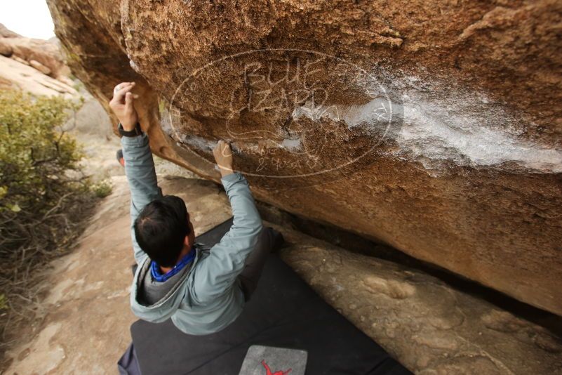 Bouldering in Hueco Tanks on 03/16/2019 with Blue Lizard Climbing and Yoga

Filename: SRM_20190316_1500261.jpg
Aperture: f/5.6
Shutter Speed: 1/320
Body: Canon EOS-1D Mark II
Lens: Canon EF 16-35mm f/2.8 L