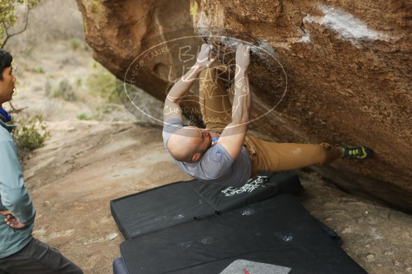 Bouldering in Hueco Tanks on 03/16/2019 with Blue Lizard Climbing and Yoga

Filename: SRM_20190316_1518450.jpg
Aperture: f/2.8
Shutter Speed: 1/320
Body: Canon EOS-1D Mark II
Lens: Canon EF 50mm f/1.8 II