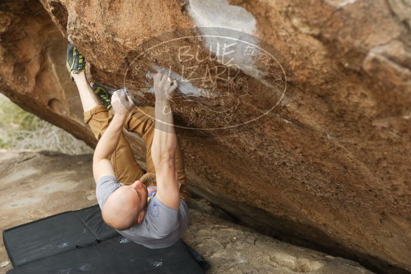 Bouldering in Hueco Tanks on 03/16/2019 with Blue Lizard Climbing and Yoga

Filename: SRM_20190316_1519010.jpg
Aperture: f/2.8
Shutter Speed: 1/320
Body: Canon EOS-1D Mark II
Lens: Canon EF 50mm f/1.8 II