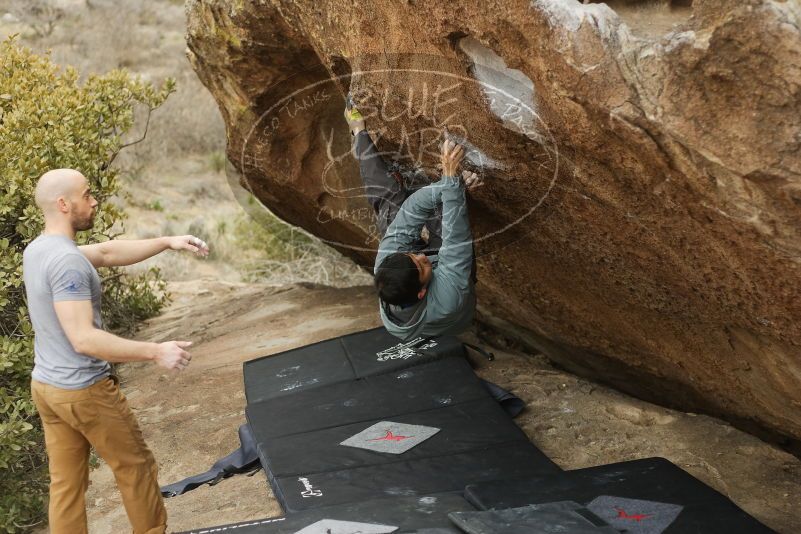 Bouldering in Hueco Tanks on 03/16/2019 with Blue Lizard Climbing and Yoga

Filename: SRM_20190316_1526120.jpg
Aperture: f/2.8
Shutter Speed: 1/400
Body: Canon EOS-1D Mark II
Lens: Canon EF 50mm f/1.8 II