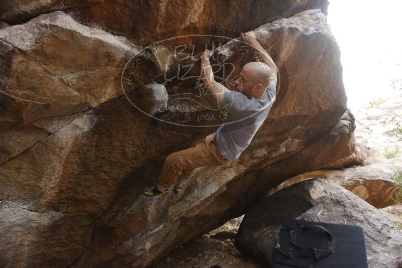 Bouldering in Hueco Tanks on 03/16/2019 with Blue Lizard Climbing and Yoga

Filename: SRM_20190316_1708260.jpg
Aperture: f/5.0
Shutter Speed: 1/200
Body: Canon EOS-1D Mark II
Lens: Canon EF 16-35mm f/2.8 L