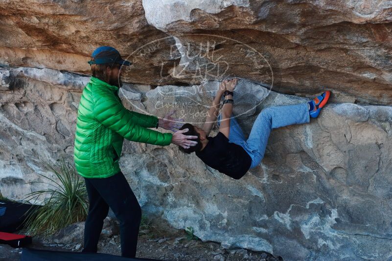 Bouldering in Hueco Tanks on 03/17/2019 with Blue Lizard Climbing and Yoga

Filename: SRM_20190317_0947000.jpg
Aperture: f/4.0
Shutter Speed: 1/200
Body: Canon EOS-1D Mark II
Lens: Canon EF 50mm f/1.8 II