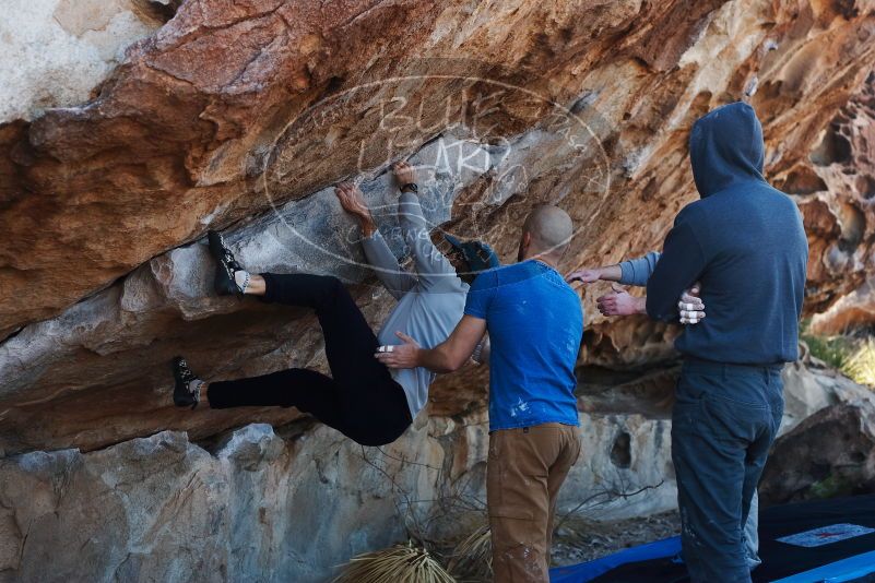 Bouldering in Hueco Tanks on 03/17/2019 with Blue Lizard Climbing and Yoga

Filename: SRM_20190317_1010520.jpg
Aperture: f/4.0
Shutter Speed: 1/320
Body: Canon EOS-1D Mark II
Lens: Canon EF 50mm f/1.8 II