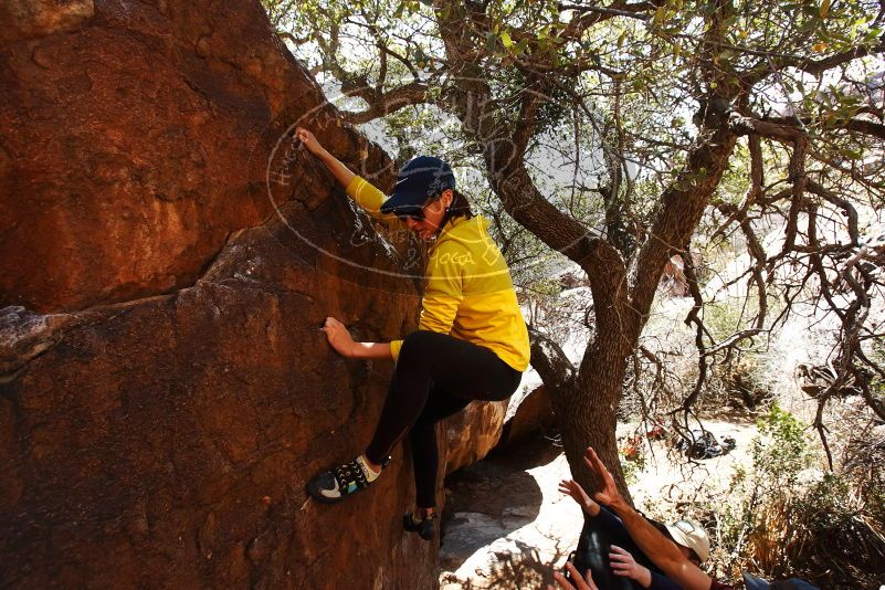 Bouldering in Hueco Tanks on 03/17/2019 with Blue Lizard Climbing and Yoga

Filename: SRM_20190317_1429100.jpg
Aperture: f/5.6
Shutter Speed: 1/500
Body: Canon EOS-1D Mark II
Lens: Canon EF 16-35mm f/2.8 L