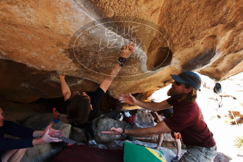 Bouldering in Hueco Tanks on 03/17/2019 with Blue Lizard Climbing and Yoga

Filename: SRM_20190317_1539370.jpg
Aperture: f/5.6
Shutter Speed: 1/250
Body: Canon EOS-1D Mark II
Lens: Canon EF 16-35mm f/2.8 L