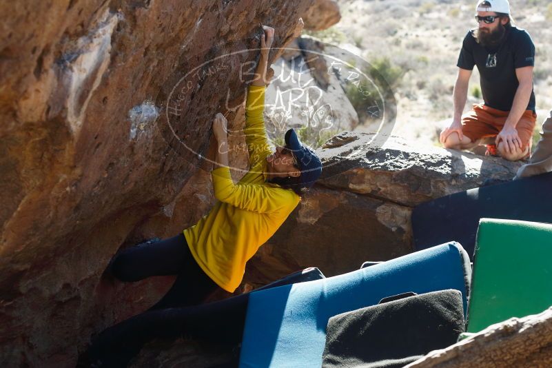 Bouldering in Hueco Tanks on 03/17/2019 with Blue Lizard Climbing and Yoga

Filename: SRM_20190317_1658130.jpg
Aperture: f/4.0
Shutter Speed: 1/320
Body: Canon EOS-1D Mark II
Lens: Canon EF 50mm f/1.8 II