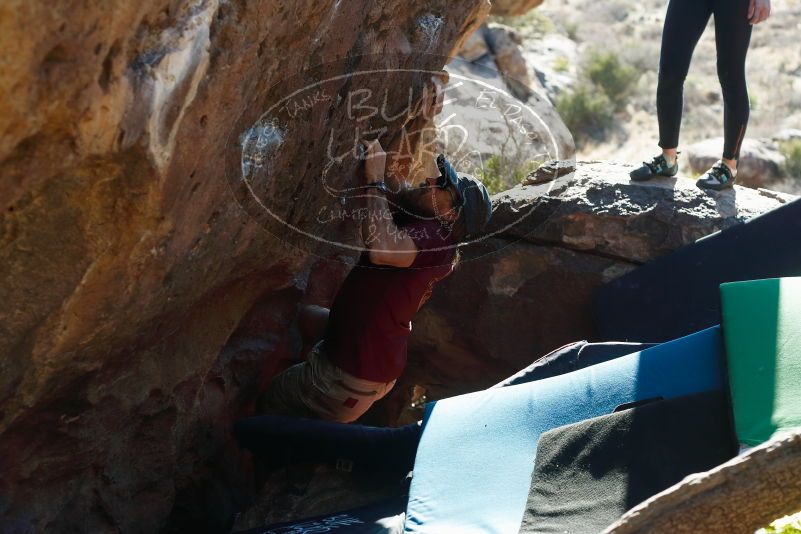 Bouldering in Hueco Tanks on 03/17/2019 with Blue Lizard Climbing and Yoga

Filename: SRM_20190317_1703100.jpg
Aperture: f/4.0
Shutter Speed: 1/320
Body: Canon EOS-1D Mark II
Lens: Canon EF 50mm f/1.8 II