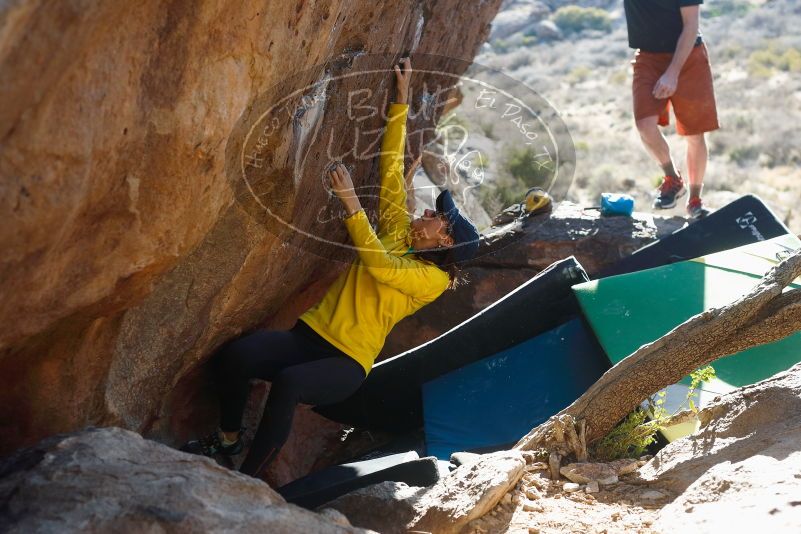 Bouldering in Hueco Tanks on 03/17/2019 with Blue Lizard Climbing and Yoga

Filename: SRM_20190317_1723221.jpg
Aperture: f/4.0
Shutter Speed: 1/250
Body: Canon EOS-1D Mark II
Lens: Canon EF 50mm f/1.8 II