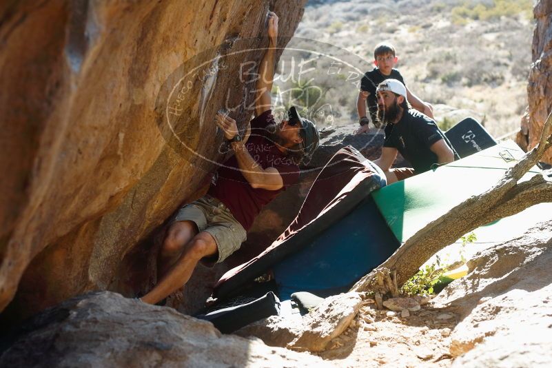 Bouldering in Hueco Tanks on 03/17/2019 with Blue Lizard Climbing and Yoga

Filename: SRM_20190317_1730311.jpg
Aperture: f/4.0
Shutter Speed: 1/250
Body: Canon EOS-1D Mark II
Lens: Canon EF 50mm f/1.8 II