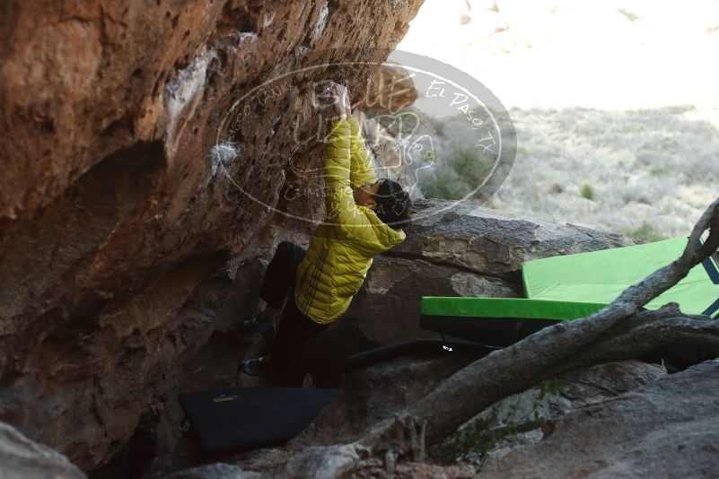 Bouldering in Hueco Tanks on 03/20/2019 with Blue Lizard Climbing and Yoga

Filename: SRM_20190320_0906260.jpg
Aperture: f/3.5
Shutter Speed: 1/320
Body: Canon EOS-1D Mark II
Lens: Canon EF 50mm f/1.8 II