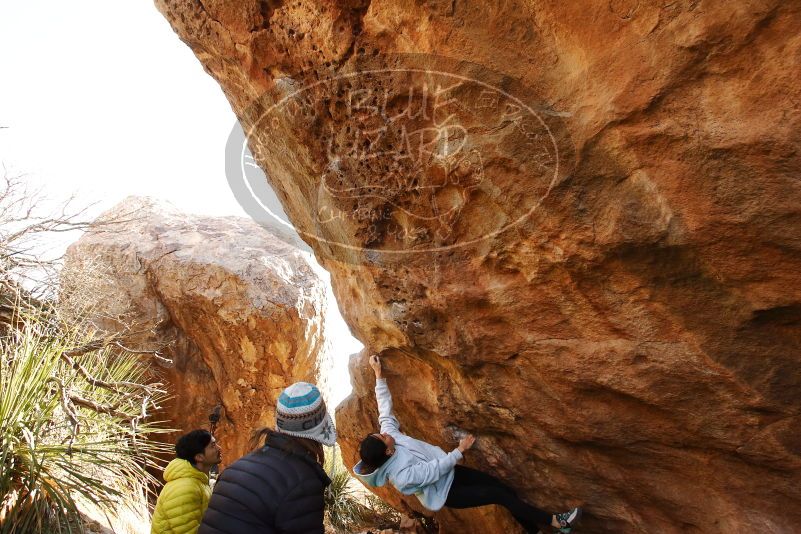 Bouldering in Hueco Tanks on 03/20/2019 with Blue Lizard Climbing and Yoga

Filename: SRM_20190320_0952180.jpg
Aperture: f/5.6
Shutter Speed: 1/250
Body: Canon EOS-1D Mark II
Lens: Canon EF 16-35mm f/2.8 L