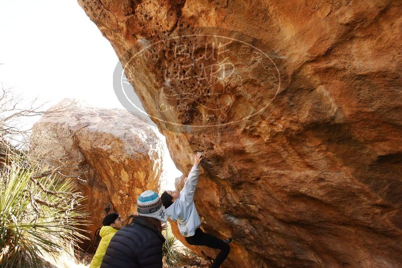 Bouldering in Hueco Tanks on 03/20/2019 with Blue Lizard Climbing and Yoga

Filename: SRM_20190320_0952221.jpg
Aperture: f/5.6
Shutter Speed: 1/250
Body: Canon EOS-1D Mark II
Lens: Canon EF 16-35mm f/2.8 L