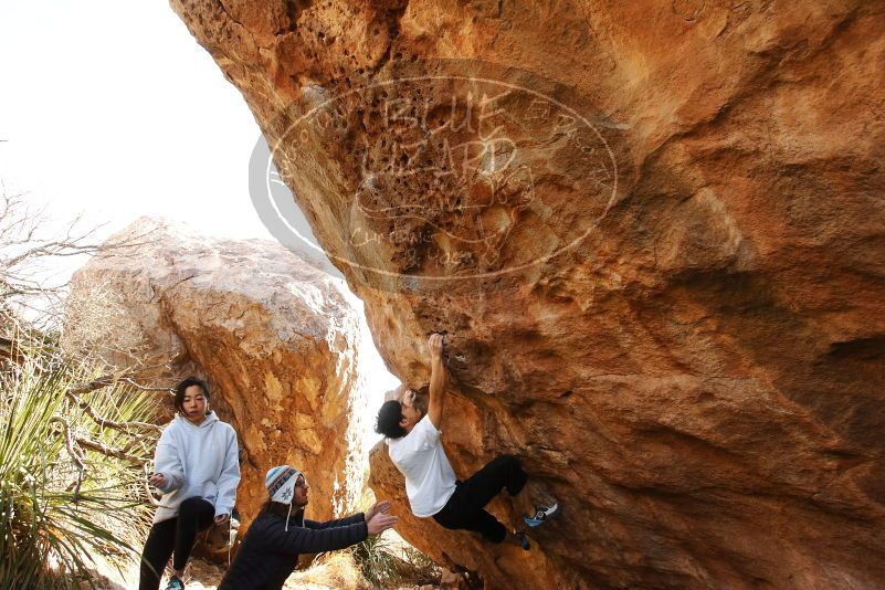 Bouldering in Hueco Tanks on 03/20/2019 with Blue Lizard Climbing and Yoga

Filename: SRM_20190320_1002310.jpg
Aperture: f/5.6
Shutter Speed: 1/250
Body: Canon EOS-1D Mark II
Lens: Canon EF 16-35mm f/2.8 L