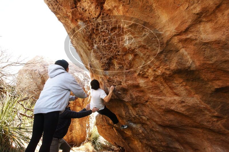 Bouldering in Hueco Tanks on 03/20/2019 with Blue Lizard Climbing and Yoga

Filename: SRM_20190320_1002400.jpg
Aperture: f/5.6
Shutter Speed: 1/250
Body: Canon EOS-1D Mark II
Lens: Canon EF 16-35mm f/2.8 L