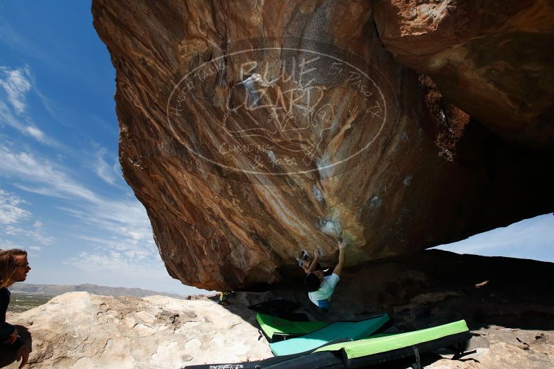 Bouldering in Hueco Tanks on 03/20/2019 with Blue Lizard Climbing and Yoga

Filename: SRM_20190320_1205320.jpg
Aperture: f/5.6
Shutter Speed: 1/250
Body: Canon EOS-1D Mark II
Lens: Canon EF 16-35mm f/2.8 L