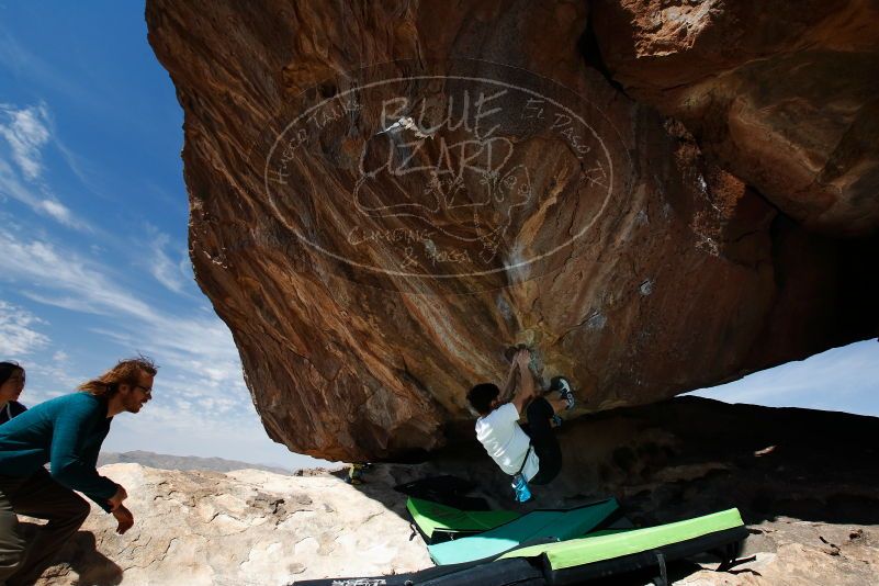 Bouldering in Hueco Tanks on 03/20/2019 with Blue Lizard Climbing and Yoga

Filename: SRM_20190320_1205350.jpg
Aperture: f/5.6
Shutter Speed: 1/250
Body: Canon EOS-1D Mark II
Lens: Canon EF 16-35mm f/2.8 L