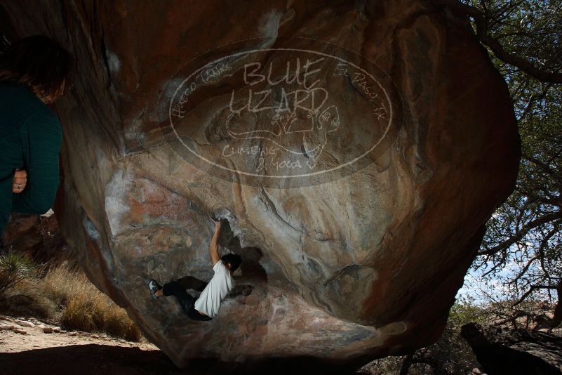 Bouldering in Hueco Tanks on 03/20/2019 with Blue Lizard Climbing and Yoga

Filename: SRM_20190320_1257130.jpg
Aperture: f/5.6
Shutter Speed: 1/250
Body: Canon EOS-1D Mark II
Lens: Canon EF 16-35mm f/2.8 L