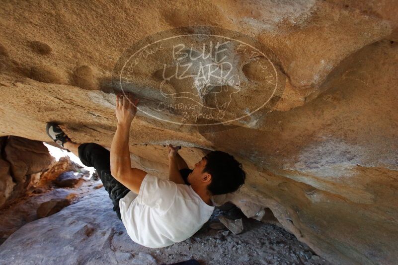 Bouldering in Hueco Tanks on 03/20/2019 with Blue Lizard Climbing and Yoga

Filename: SRM_20190320_1556170.jpg
Aperture: f/5.6
Shutter Speed: 1/200
Body: Canon EOS-1D Mark II
Lens: Canon EF 16-35mm f/2.8 L