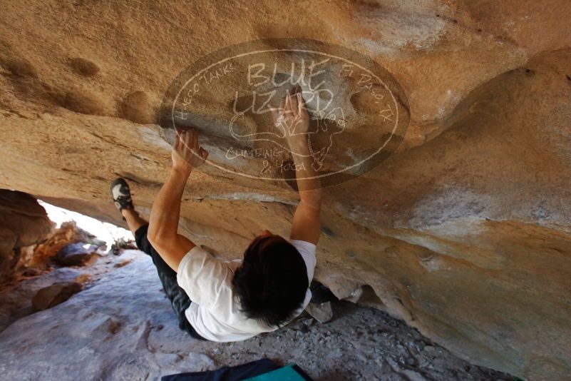 Bouldering in Hueco Tanks on 03/20/2019 with Blue Lizard Climbing and Yoga

Filename: SRM_20190320_1556181.jpg
Aperture: f/5.6
Shutter Speed: 1/200
Body: Canon EOS-1D Mark II
Lens: Canon EF 16-35mm f/2.8 L