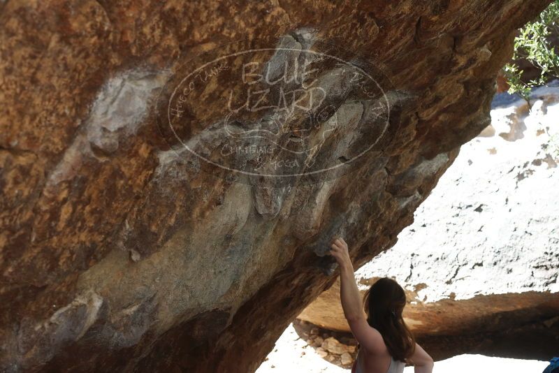 Bouldering in Hueco Tanks on 03/29/2019 with Blue Lizard Climbing and Yoga

Filename: SRM_20190329_1025250.jpg
Aperture: f/5.6
Shutter Speed: 1/250
Body: Canon EOS-1D Mark II
Lens: Canon EF 50mm f/1.8 II