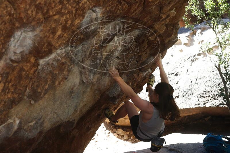 Bouldering in Hueco Tanks on 03/29/2019 with Blue Lizard Climbing and Yoga

Filename: SRM_20190329_1025510.jpg
Aperture: f/5.6
Shutter Speed: 1/250
Body: Canon EOS-1D Mark II
Lens: Canon EF 50mm f/1.8 II