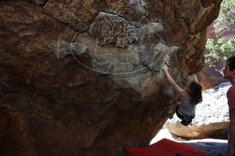 Bouldering in Hueco Tanks on 03/29/2019 with Blue Lizard Climbing and Yoga

Filename: SRM_20190329_1036300.jpg
Aperture: f/5.6
Shutter Speed: 1/250
Body: Canon EOS-1D Mark II
Lens: Canon EF 16-35mm f/2.8 L