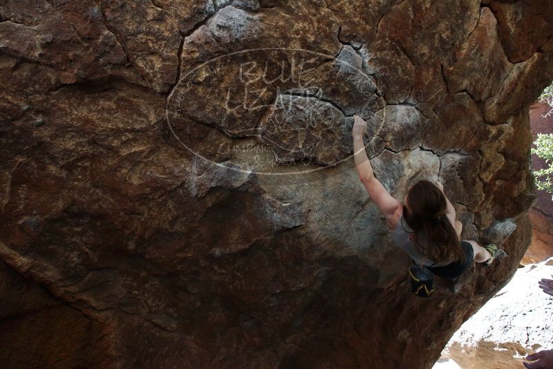 Bouldering in Hueco Tanks on 03/29/2019 with Blue Lizard Climbing and Yoga

Filename: SRM_20190329_1036381.jpg
Aperture: f/5.6
Shutter Speed: 1/250
Body: Canon EOS-1D Mark II
Lens: Canon EF 16-35mm f/2.8 L