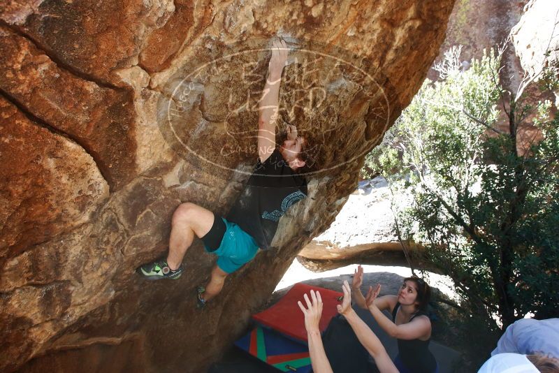 Bouldering in Hueco Tanks on 03/29/2019 with Blue Lizard Climbing and Yoga

Filename: SRM_20190329_1040380.jpg
Aperture: f/5.6
Shutter Speed: 1/250
Body: Canon EOS-1D Mark II
Lens: Canon EF 16-35mm f/2.8 L