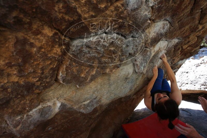 Bouldering in Hueco Tanks on 03/29/2019 with Blue Lizard Climbing and Yoga

Filename: SRM_20190329_1046380.jpg
Aperture: f/5.6
Shutter Speed: 1/250
Body: Canon EOS-1D Mark II
Lens: Canon EF 16-35mm f/2.8 L