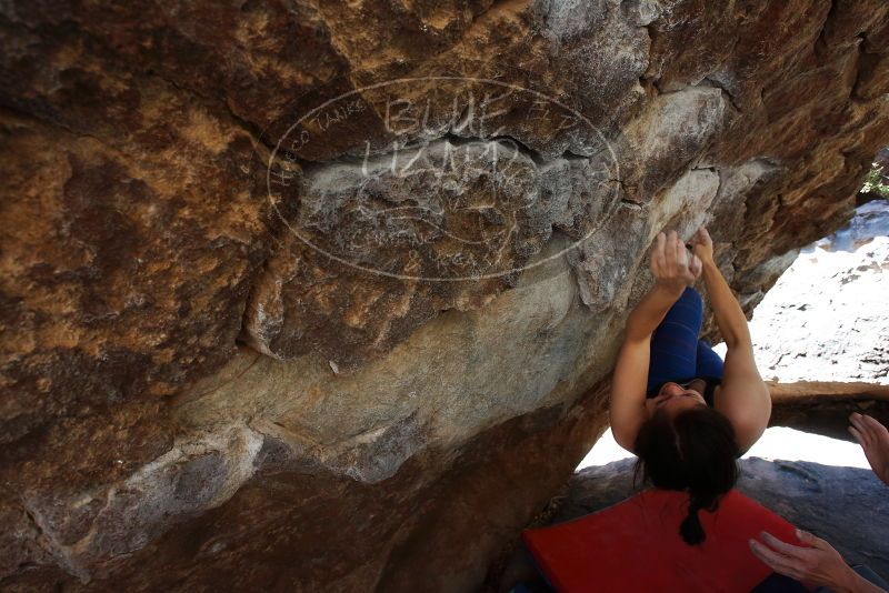 Bouldering in Hueco Tanks on 03/29/2019 with Blue Lizard Climbing and Yoga

Filename: SRM_20190329_1046381.jpg
Aperture: f/5.6
Shutter Speed: 1/250
Body: Canon EOS-1D Mark II
Lens: Canon EF 16-35mm f/2.8 L