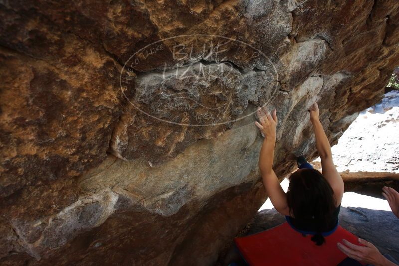 Bouldering in Hueco Tanks on 03/29/2019 with Blue Lizard Climbing and Yoga

Filename: SRM_20190329_1046382.jpg
Aperture: f/5.6
Shutter Speed: 1/250
Body: Canon EOS-1D Mark II
Lens: Canon EF 16-35mm f/2.8 L