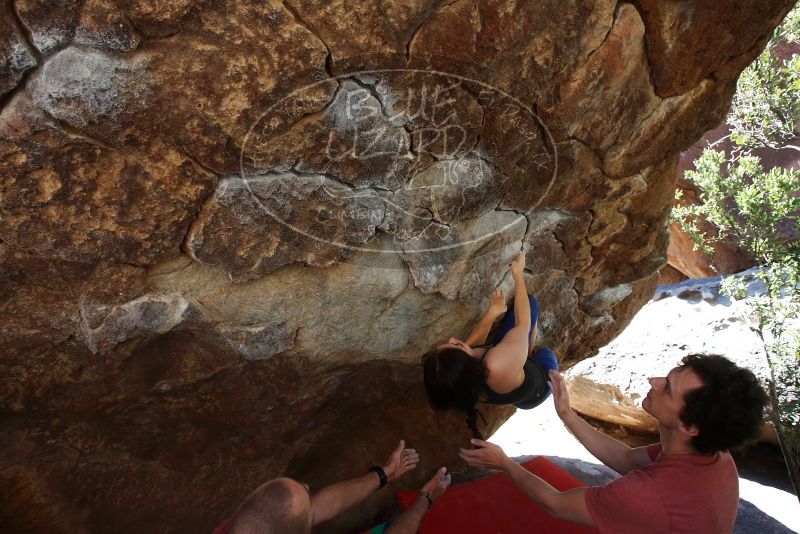 Bouldering in Hueco Tanks on 03/29/2019 with Blue Lizard Climbing and Yoga

Filename: SRM_20190329_1049000.jpg
Aperture: f/5.6
Shutter Speed: 1/250
Body: Canon EOS-1D Mark II
Lens: Canon EF 16-35mm f/2.8 L